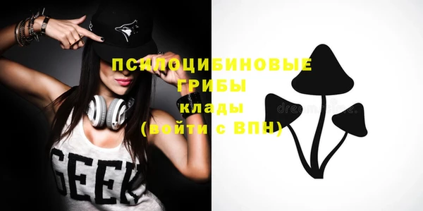 тгк Тавда