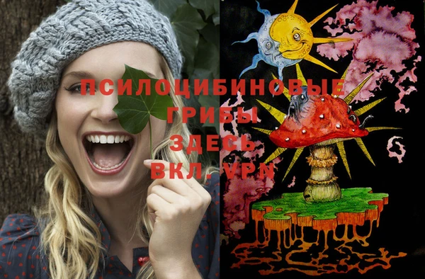 хмурый Струнино