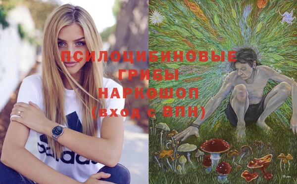 соль курить ск Строитель