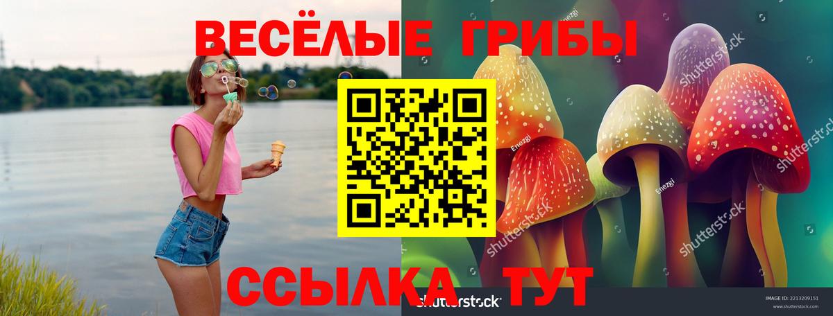 Псилоцибиновые грибы мухоморы  Галлюциногенные грибы GOLDEN TEACHER  Вход с VPN  цены   Усть-Кут 