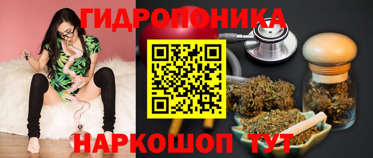 Бошки марихуана Amnesia Усть-Кут